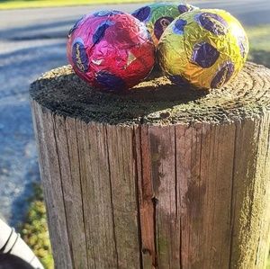 Meet your Posher, Pierina